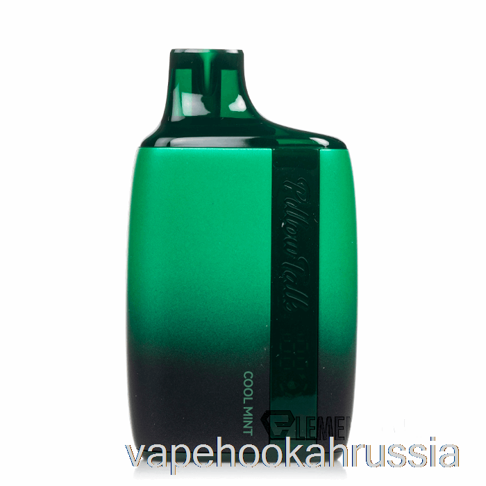 Vape сок Pillow Talk 8500 одноразовый прохладный мятный